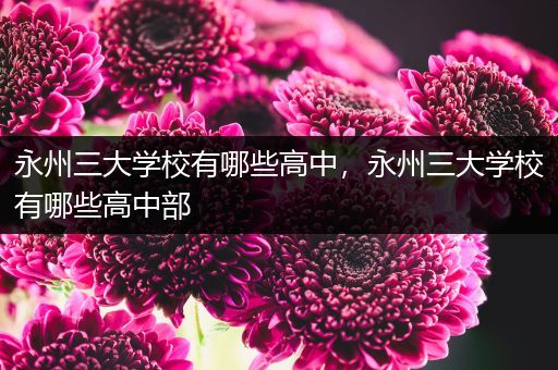 永州三大学校有哪些高中，永州三大学校有哪些高中部