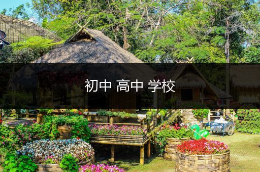 初中 高中 学校