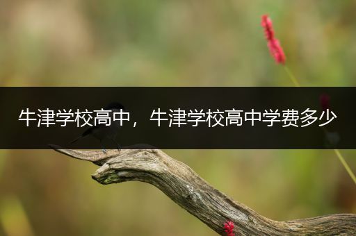 牛津学校高中，牛津学校高中学费多少