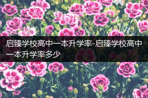 启臻学校高中一本升学率-启臻学校高中一本升学率多少