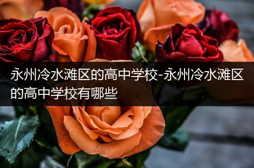 永州冷水滩区的高中学校-永州冷水滩区的高中学校有哪些