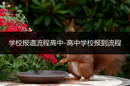 学校报道流程高中-高中学校报到流程