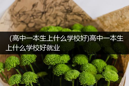 （高中一本生上什么学校好)高中一本生上什么学校好就业
