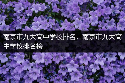 南京市九大高中学校排名，南京市九大高中学校排名榜