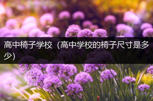 高中椅子学校（高中学校的椅子尺寸是多少）