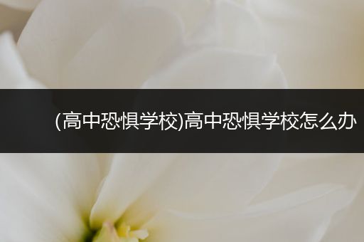 （高中恐惧学校)高中恐惧学校怎么办