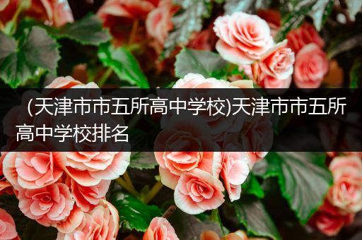 （天津市市五所高中学校)天津市市五所高中学校排名