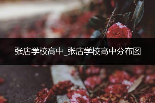 张店学校高中_张店学校高中分布图