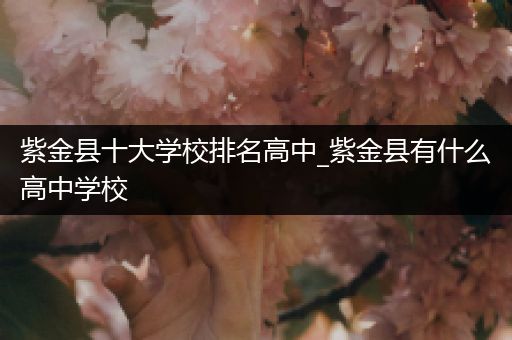 紫金县十大学校排名高中_紫金县有什么高中学校