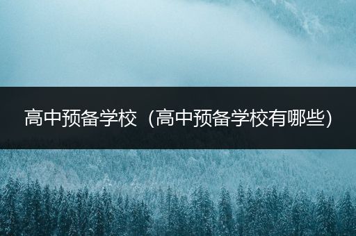 高中预备学校（高中预备学校有哪些）