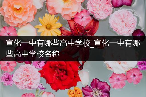 宣化一中有哪些高中学校_宣化一中有哪些高中学校名称