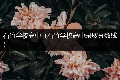 石竹学校高中（石竹学校高中录取分数线）