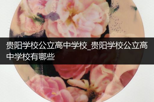 贵阳学校公立高中学校_贵阳学校公立高中学校有哪些