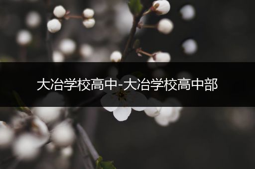 大冶学校高中-大冶学校高中部