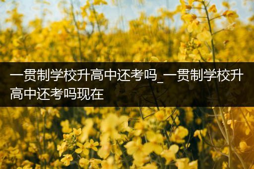 一贯制学校升高中还考吗_一贯制学校升高中还考吗现在