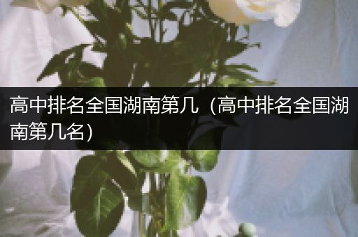 高中排名全国湖南第几（高中排名全国湖南第几名）