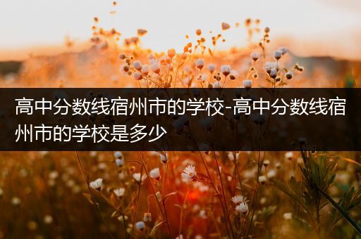 高中分数线宿州市的学校-高中分数线宿州市的学校是多少