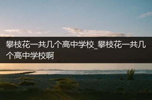 攀枝花一共几个高中学校_攀枝花一共几个高中学校啊