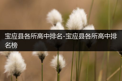 宝应县各所高中排名-宝应县各所高中排名榜