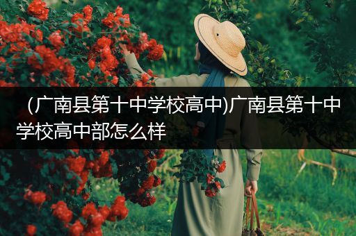 （广南县第十中学校高中)广南县第十中学校高中部怎么样