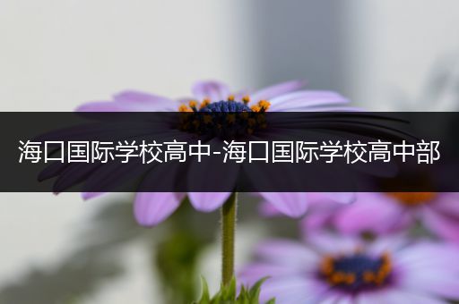 海口国际学校高中-海口国际学校高中部