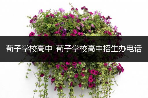 荀子学校高中_荀子学校高中招生办电话