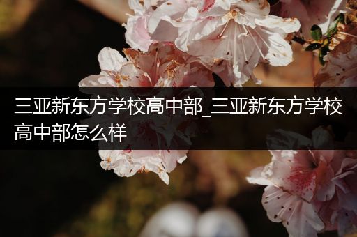 三亚新东方学校高中部_三亚新东方学校高中部怎么样