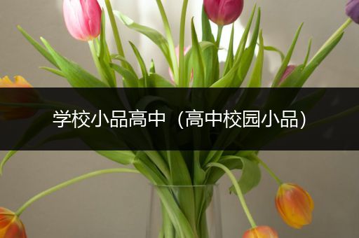 学校小品高中（高中校园小品）