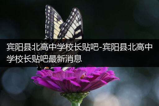宾阳县北高中学校长贴吧-宾阳县北高中学校长贴吧最新消息