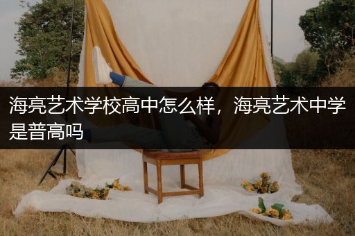 海亮艺术学校高中怎么样，海亮艺术中学是普高吗