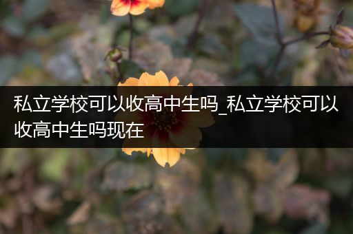 私立学校可以收高中生吗_私立学校可以收高中生吗现在