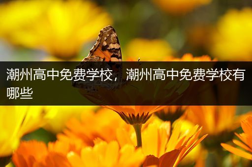 潮州高中免费学校，潮州高中免费学校有哪些