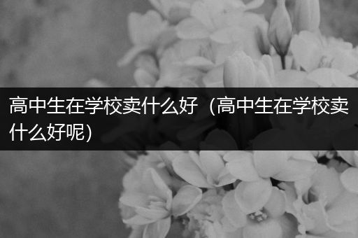高中生在学校卖什么好（高中生在学校卖什么好呢）