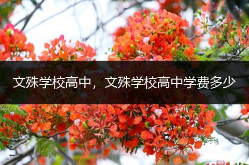 文殊学校高中，文殊学校高中学费多少
