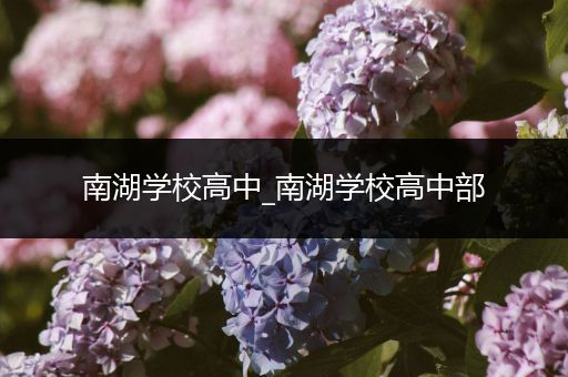 南湖学校高中_南湖学校高中部