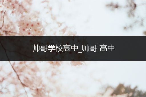 帅哥学校高中_帅哥 高中