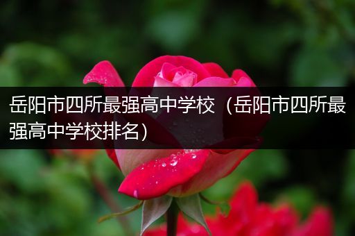 岳阳市四所最强高中学校（岳阳市四所最强高中学校排名）
