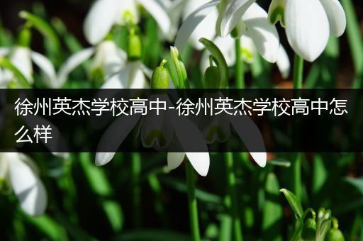 徐州英杰学校高中-徐州英杰学校高中怎么样