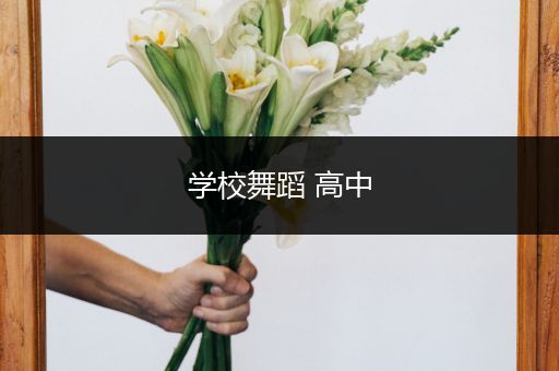 学校舞蹈 高中