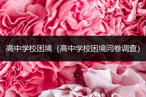高中学校困境（高中学校困境问卷调查）