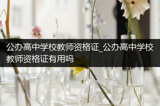 公办高中学校教师资格证_公办高中学校教师资格证有用吗