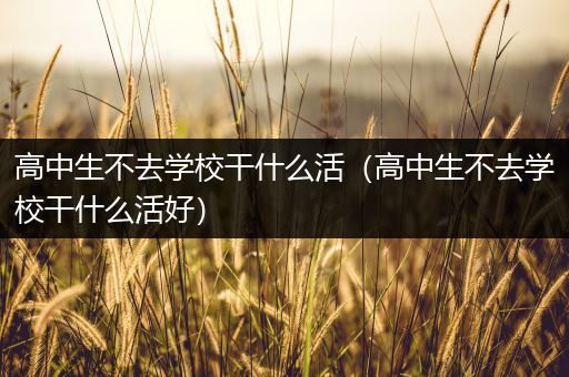 高中生不去学校干什么活（高中生不去学校干什么活好）