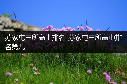 苏家屯三所高中排名-苏家屯三所高中排名第几