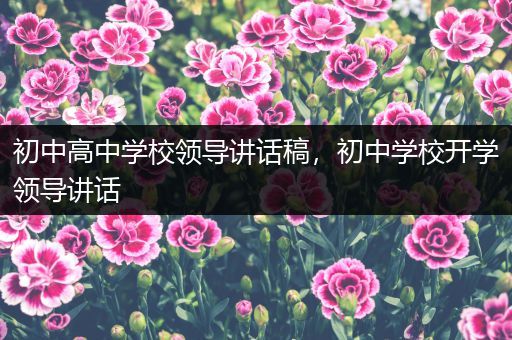初中高中学校领导讲话稿，初中学校开学领导讲话