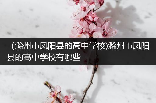 （滁州市凤阳县的高中学校)滁州市凤阳县的高中学校有哪些