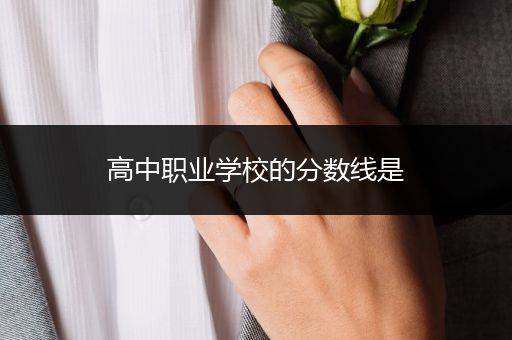 高中职业学校的分数线是