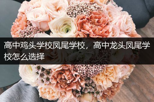 高中鸡头学校凤尾学校，高中龙头凤尾学校怎么选择