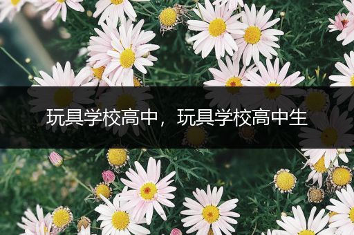 玩具学校高中，玩具学校高中生