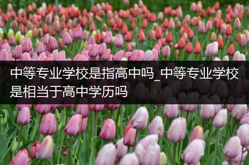 中等专业学校是指高中吗_中等专业学校是相当于高中学历吗