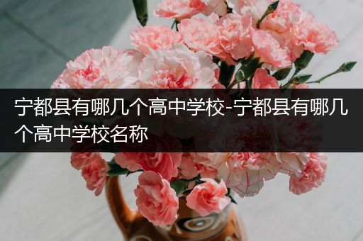 宁都县有哪几个高中学校-宁都县有哪几个高中学校名称